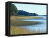 Salt Marsh Bordering the Royal River, Maine, USA-Jerry & Marcy Monkman-Framed Stretched Canvas