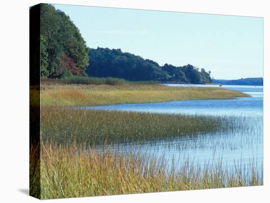 Salt Marsh Bordering the Royal River, Maine, USA-Jerry & Marcy Monkman-Stretched Canvas