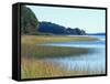 Salt Marsh Bordering the Royal River, Maine, USA-Jerry & Marcy Monkman-Framed Stretched Canvas