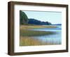 Salt Marsh Bordering the Royal River, Maine, USA-Jerry & Marcy Monkman-Framed Photographic Print