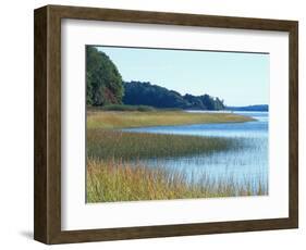Salt Marsh Bordering the Royal River, Maine, USA-Jerry & Marcy Monkman-Framed Photographic Print