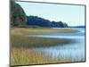Salt Marsh Bordering the Royal River, Maine, USA-Jerry & Marcy Monkman-Mounted Photographic Print