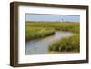 Salt marsh cord grass, Cape Cod, Long Point Lighthouse in the background, Massachusetts-Phil Savoie-Framed Photographic Print