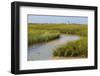 Salt marsh cord grass, Cape Cod, Long Point Lighthouse in the background, Massachusetts-Phil Savoie-Framed Photographic Print