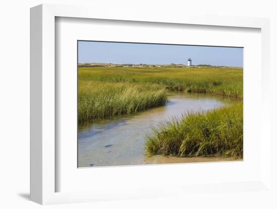 Salt marsh cord grass, Cape Cod, Long Point Lighthouse in the background, Massachusetts-Phil Savoie-Framed Photographic Print