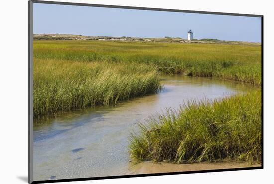 Salt marsh cord grass, Cape Cod, Long Point Lighthouse in the background, Massachusetts-Phil Savoie-Mounted Photographic Print