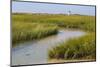 Salt marsh cord grass, Cape Cod, Long Point Lighthouse in the background, Massachusetts-Phil Savoie-Mounted Photographic Print