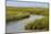 Salt marsh cord grass, Cape Cod, Long Point Lighthouse in the background, Massachusetts-Phil Savoie-Mounted Photographic Print