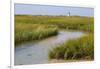 Salt marsh cord grass, Cape Cod, Long Point Lighthouse in the background, Massachusetts-Phil Savoie-Framed Photographic Print