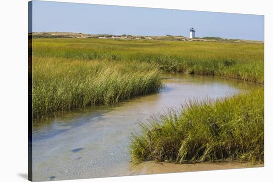 Salt marsh cord grass, Cape Cod, Long Point Lighthouse in the background, Massachusetts-Phil Savoie-Stretched Canvas