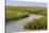 Salt marsh cord grass, Cape Cod, Long Point Lighthouse in the background, Massachusetts-Phil Savoie-Stretched Canvas