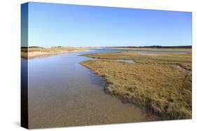 Salt Marsh, Sandwich, Cape Cod, Massachusetts, New England, United States of America, North America-Wendy Connett-Stretched Canvas