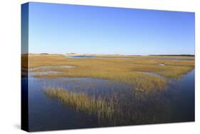 Salt Marsh, Sandwich, Cape Cod, Massachusetts, New England, United States of America, North America-Wendy Connett-Stretched Canvas