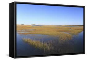 Salt Marsh, Sandwich, Cape Cod, Massachusetts, New England, United States of America, North America-Wendy Connett-Framed Stretched Canvas