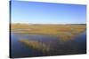 Salt Marsh, Sandwich, Cape Cod, Massachusetts, New England, United States of America, North America-Wendy Connett-Stretched Canvas