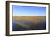 Salt Marsh, Sandwich, Cape Cod, Massachusetts, New England, United States of America, North America-Wendy Connett-Framed Photographic Print