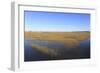 Salt Marsh, Sandwich, Cape Cod, Massachusetts, New England, United States of America, North America-Wendy Connett-Framed Photographic Print