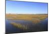 Salt Marsh, Sandwich, Cape Cod, Massachusetts, New England, United States of America, North America-Wendy Connett-Mounted Photographic Print