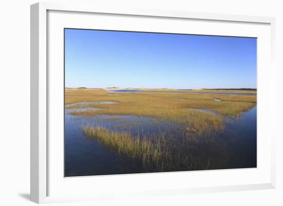 Salt Marsh, Sandwich, Cape Cod, Massachusetts, New England, United States of America, North America-Wendy Connett-Framed Photographic Print