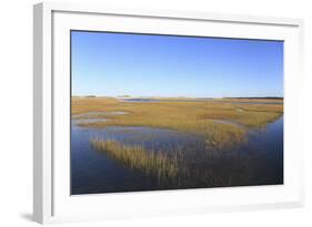 Salt Marsh, Sandwich, Cape Cod, Massachusetts, New England, United States of America, North America-Wendy Connett-Framed Photographic Print