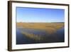 Salt Marsh, Sandwich, Cape Cod, Massachusetts, New England, United States of America, North America-Wendy Connett-Framed Photographic Print