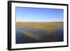 Salt Marsh, Sandwich, Cape Cod, Massachusetts, New England, United States of America, North America-Wendy Connett-Framed Photographic Print