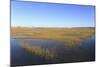 Salt Marsh, Sandwich, Cape Cod, Massachusetts, New England, United States of America, North America-Wendy Connett-Mounted Photographic Print