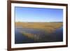 Salt Marsh, Sandwich, Cape Cod, Massachusetts, New England, United States of America, North America-Wendy Connett-Framed Photographic Print