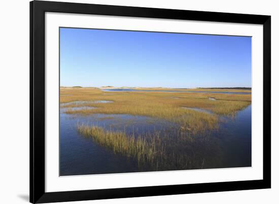 Salt Marsh, Sandwich, Cape Cod, Massachusetts, New England, United States of America, North America-Wendy Connett-Framed Photographic Print