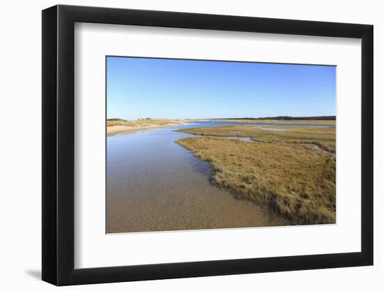 Salt Marsh, Sandwich, Cape Cod, Massachusetts, New England, United States of America, North America-Wendy Connett-Framed Photographic Print