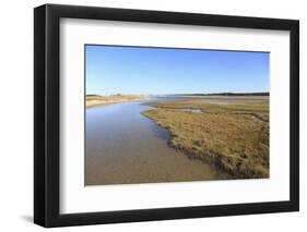 Salt Marsh, Sandwich, Cape Cod, Massachusetts, New England, United States of America, North America-Wendy Connett-Framed Photographic Print