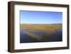 Salt Marsh, Sandwich, Cape Cod, Massachusetts, New England, United States of America, North America-Wendy Connett-Framed Photographic Print