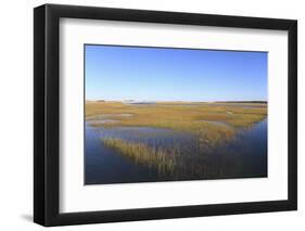 Salt Marsh, Sandwich, Cape Cod, Massachusetts, New England, United States of America, North America-Wendy Connett-Framed Photographic Print