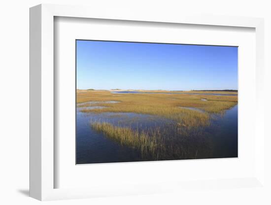 Salt Marsh, Sandwich, Cape Cod, Massachusetts, New England, United States of America, North America-Wendy Connett-Framed Photographic Print
