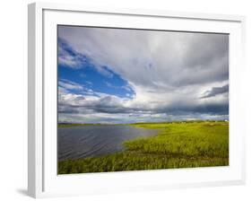 Salt Marsh side of Long Beach in Stratford, Connecticut, USA-Jerry & Marcy Monkman-Framed Photographic Print