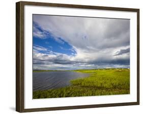 Salt Marsh side of Long Beach in Stratford, Connecticut, USA-Jerry & Marcy Monkman-Framed Photographic Print