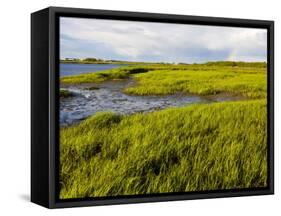 Salt Marsh side of Long Beach in Stratford, Connecticut, USA-Jerry & Marcy Monkman-Framed Stretched Canvas