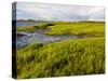 Salt Marsh side of Long Beach in Stratford, Connecticut, USA-Jerry & Marcy Monkman-Stretched Canvas