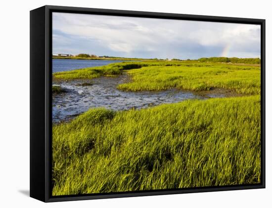 Salt Marsh side of Long Beach in Stratford, Connecticut, USA-Jerry & Marcy Monkman-Framed Stretched Canvas