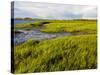 Salt Marsh side of Long Beach in Stratford, Connecticut, USA-Jerry & Marcy Monkman-Stretched Canvas