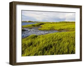 Salt Marsh side of Long Beach in Stratford, Connecticut, USA-Jerry & Marcy Monkman-Framed Photographic Print