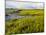 Salt Marsh side of Long Beach in Stratford, Connecticut, USA-Jerry & Marcy Monkman-Mounted Photographic Print