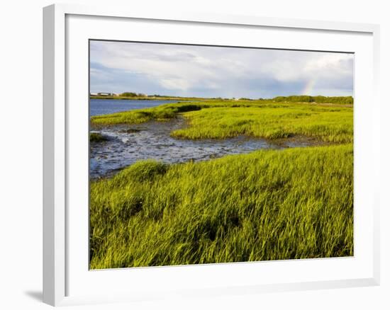 Salt Marsh side of Long Beach in Stratford, Connecticut, USA-Jerry & Marcy Monkman-Framed Photographic Print