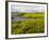 Salt Marsh side of Long Beach in Stratford, Connecticut, USA-Jerry & Marcy Monkman-Framed Photographic Print