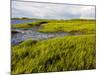 Salt Marsh side of Long Beach in Stratford, Connecticut, USA-Jerry & Marcy Monkman-Mounted Photographic Print