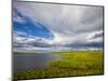 Salt Marsh side of Long Beach in Stratford, Connecticut, USA-Jerry & Marcy Monkman-Mounted Photographic Print