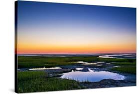 Salt Marsh Tidal Pools at Low Tide, Boat Meadow Beach, Eastham, Cape Cod, Massachusetts, USA-Mira-Stretched Canvas