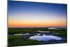 Salt Marsh Tidal Pools at Low Tide, Boat Meadow Beach, Eastham, Cape Cod, Massachusetts, USA-Mira-Mounted Photographic Print