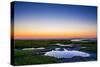 Salt Marsh Tidal Pools at Low Tide, Boat Meadow Beach, Eastham, Cape Cod, Massachusetts, USA-Mira-Stretched Canvas