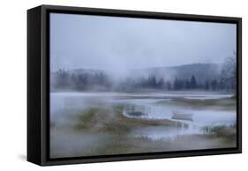 Salt Marsh-James McLoughlin-Framed Stretched Canvas